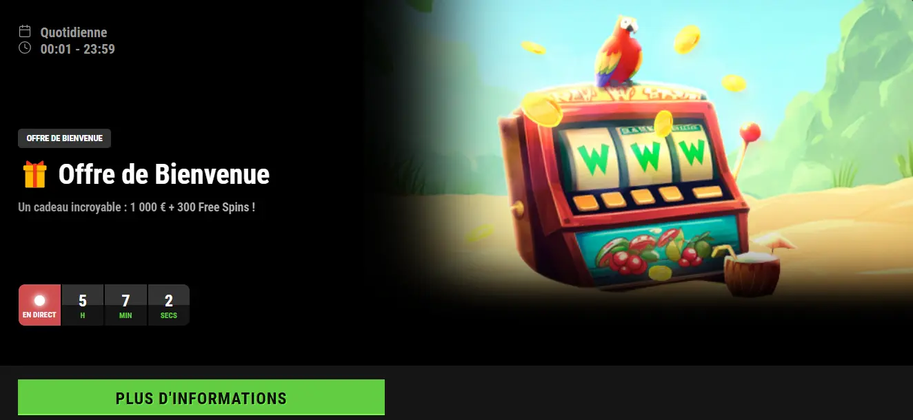 Bonus et promotions dans les casinos en ligne